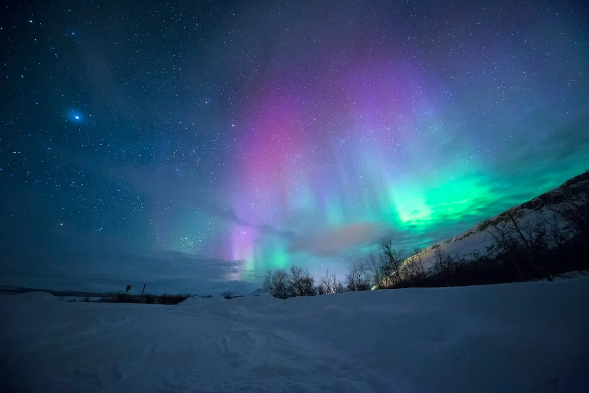 Nordlichter in Pink, Violet, Grün über Schneefeld und Wald nachts