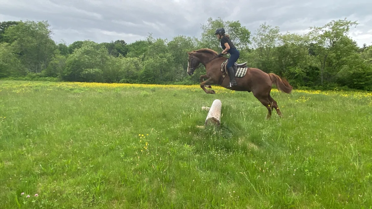 Mädchen springt auf einem Pferd über ein Hindernis