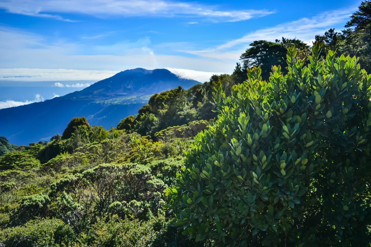 Hügel und Vulkane mit Dschungel in Costa Rica