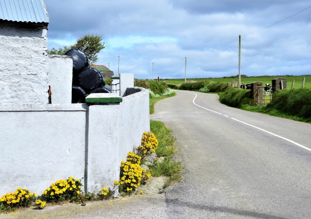 Landstrasse durch Irland Hausecke links im Bild