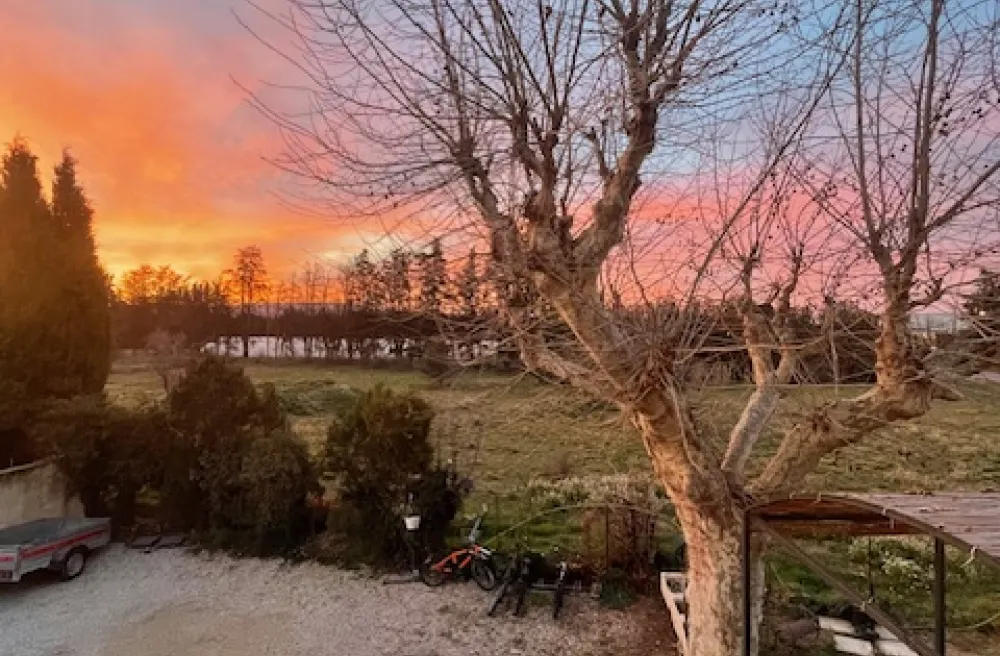 Blick über einen herbstlichen Garten während dem Morgenrot