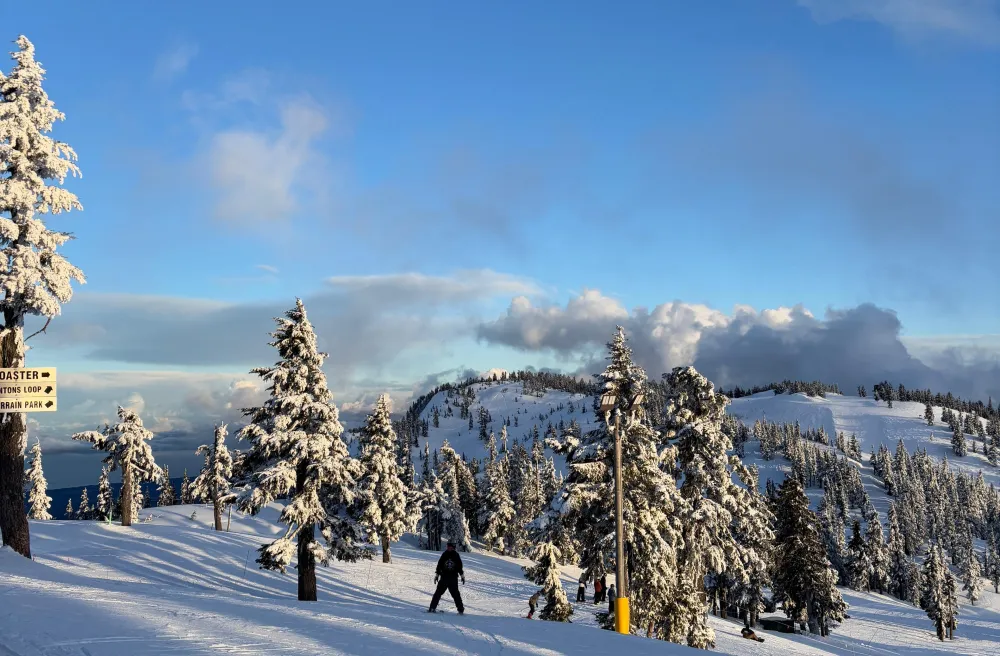 Schneelandschaft mit verschneiten Tannen