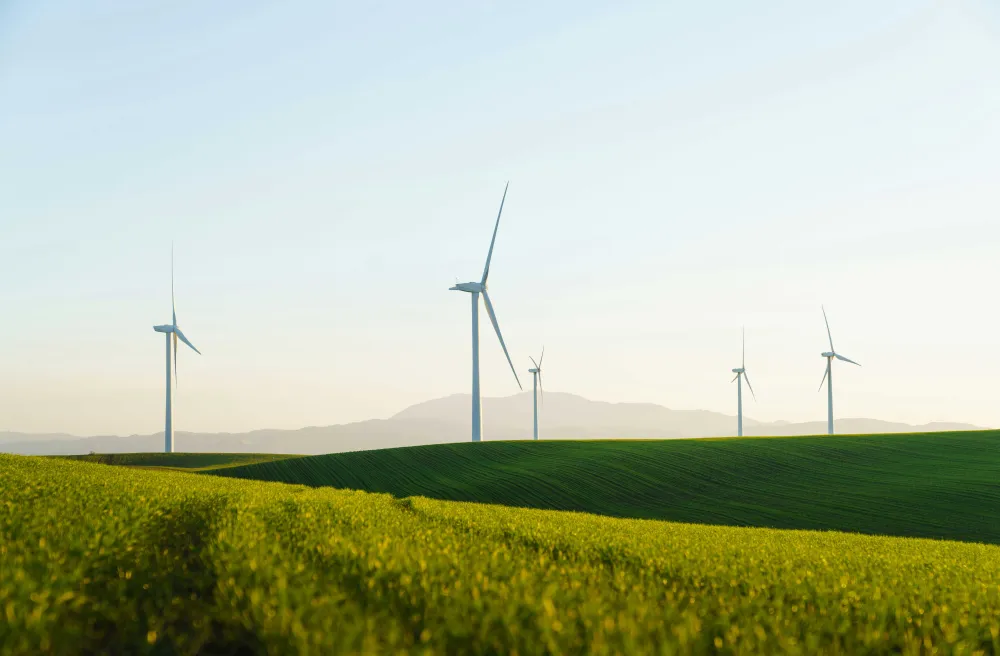 Windmühlen auf grüner Wiese mit dunstigem sonnigen Wetter