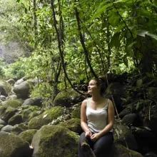 Waterfall Rainforest