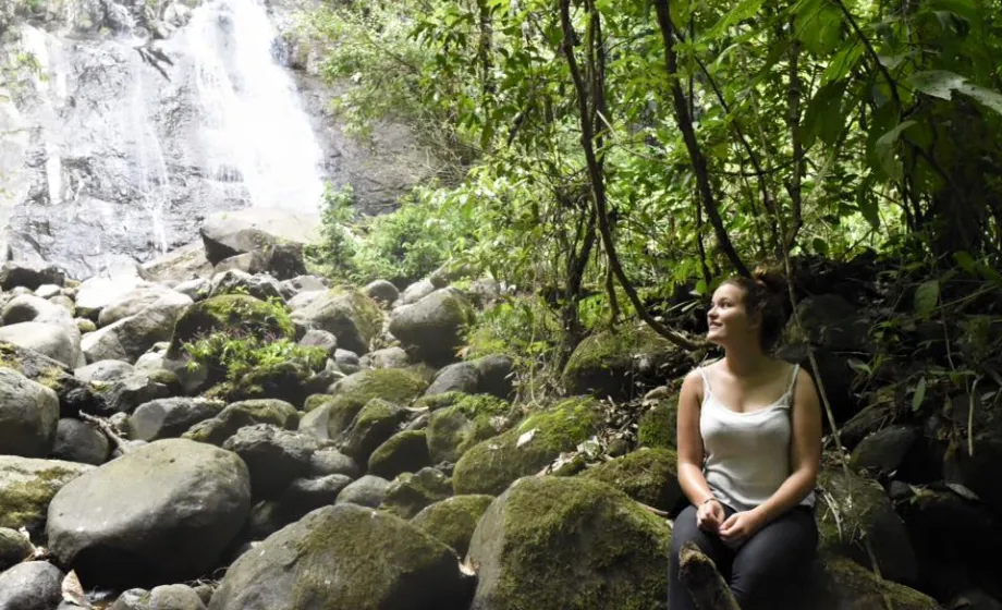 Waterfall Rainforest