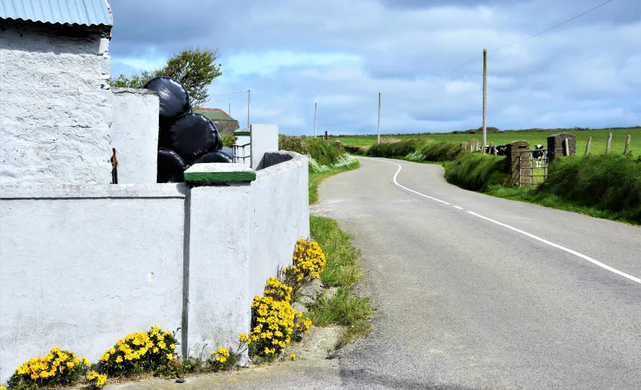 Landstrasse durch Irland Hausecke links im Bild